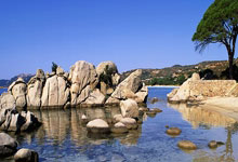 开云平台-中国男篮横扫快船，杰伦·布朗绝境逆转