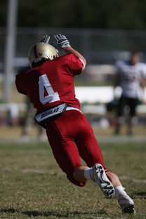 开云体育官网-多特蒙德力克马竞，德布劳内扑点救主亚洲杯——一场激情与悬念的足球盛宴